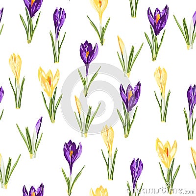 Violet and yellow crocuses flowers seamless pattern. Watercolor style Illustration. Stock Photo