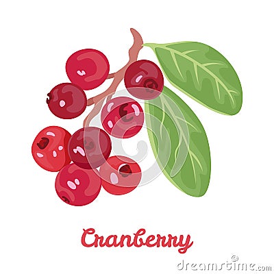 Cranberry isolated on white background. Branch with red berries and green leaves. Cartoon Illustration