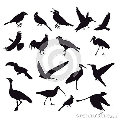 Silhouette of birds on white. Stock Photo