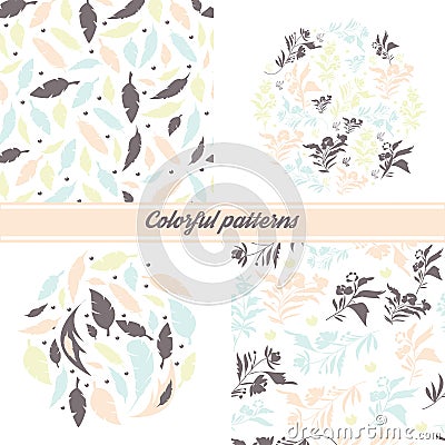 A set of delicate floral patterns and emblems on a white background with floral elements and decorative feathers Vector Illustration