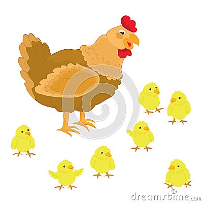 Cute chicken and her chickens on a white background. Stock Photo