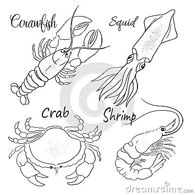 Beautiful Sea Set Seafish animal vector illustration Vector Illustration