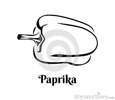 Paprika icon. Black and white image. Vector pepper vegetable illustration Cartoon Illustration