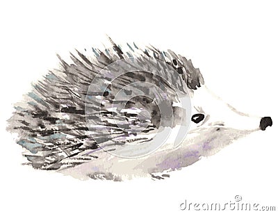 Hedgehog isolated on white background. Watercolor vector illustration Vector Illustration