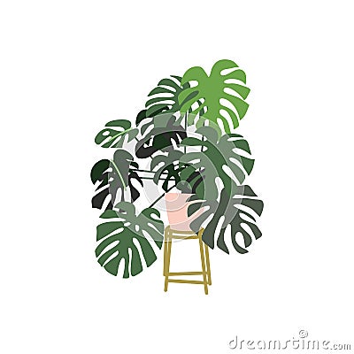 Potted houseplant vector illustration. philodendron on a pot stand. Vector Illustration