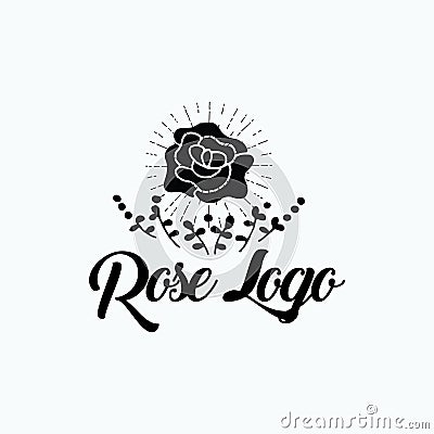 Rose burst logo design artwork Stock Photo