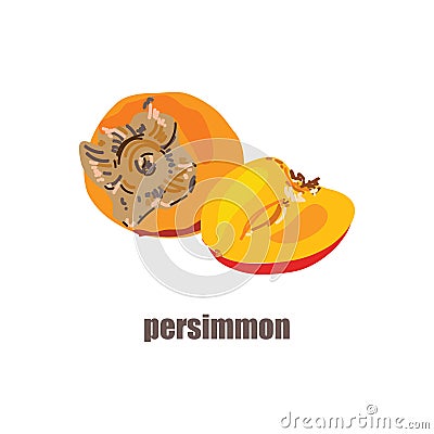 Illustration with the image of a persimmon and persimmon in a cut. Bright fruit logo or icon for your design. Stock Photo