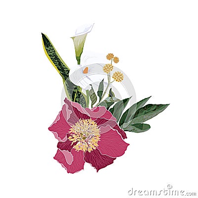 Composition with pink peony flowers, white callas lilies and many kind of exotic plants. Vector Illustration