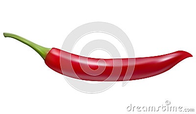 Realistic Vector Red Chilli isolated in White Background Vector Illustration