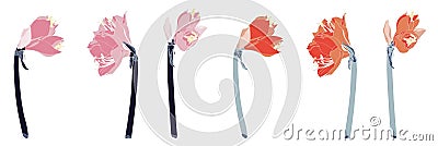 Decorative amaryllis simple line branch flowers set, design elements. Cartoon Illustration