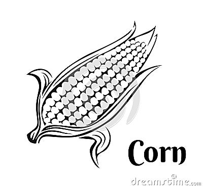 Corn icon. Black and white outline image. Vector Illustration
