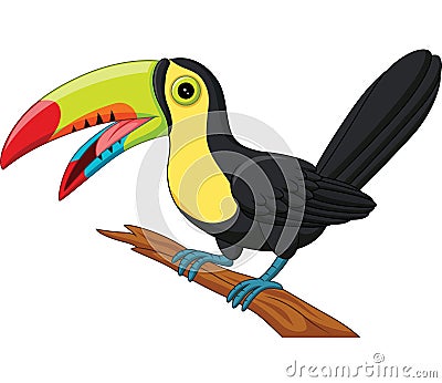 Cartoon toucan bird isolated on white background Vector Illustration