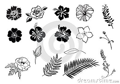 Flowers hibiscus, plumeria, rose, anemone silhouette black and white, isolated. Vector Illustration