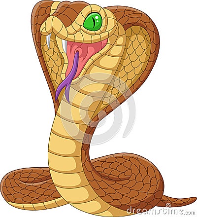 Cartoon king cobra snake on white background Vector Illustration