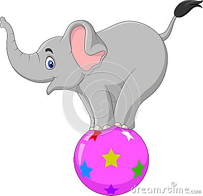 Cartoon circus elephant standing on a ball Vector Illustration