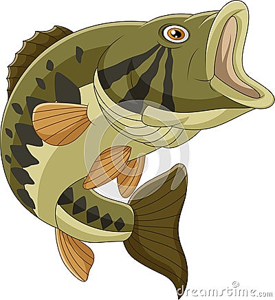 Cartoon bass fish isolated on white background Vector Illustration