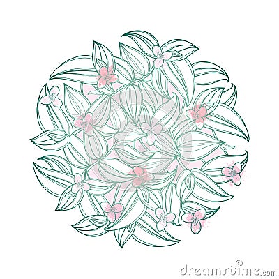 Vector round bouquet with outline Tradescantia zebrina or Spiderwort flower bunch and leaf in pastel pink and green isolated. Vector Illustration