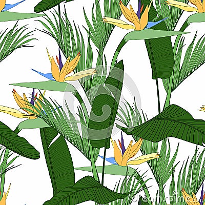 Beach cheerful seamless pattern wallpaper of tropical green leaves of palm trees and flowers bird of paradise Stock Photo