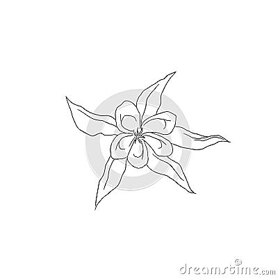 Black Line Art Columbine Flower in Hand Drawing Vector Art Stock Photo