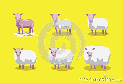 Sheep Cute Growing Stages Cartoon Vector Illustration Vector Illustration