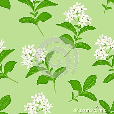 White flowers seamless pattern on green background. Vector Illustration