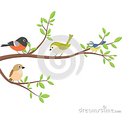 Beautiful birds sitting tree branch Vector Illustration