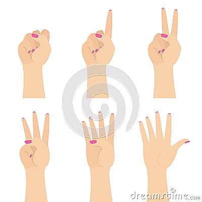 Elegant Woman Hands Counting to Five Flat Vector Illustration Set Isolated on White Vector Illustration