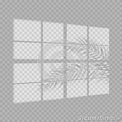 Transparent shadow overlay effect. Tropic leaf and window blind. Photo-realistic illustration with palm leaves. Vector Illustration
