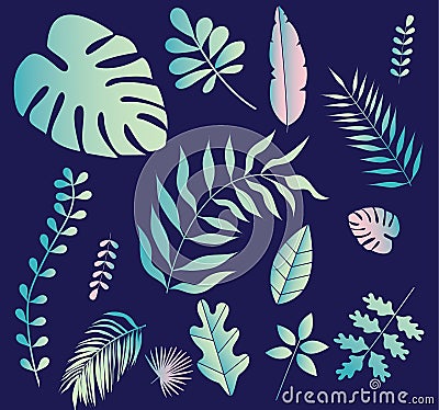 Collection of tropical greenery leaf plant herbs leaves Vector Illustration