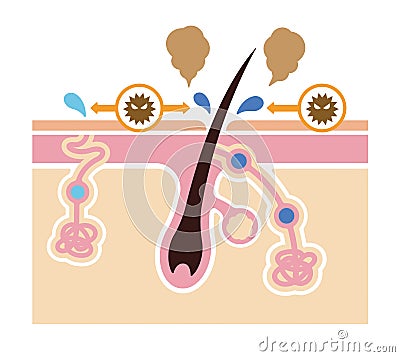 Cause of body odor vector illustration / no text Vector Illustration