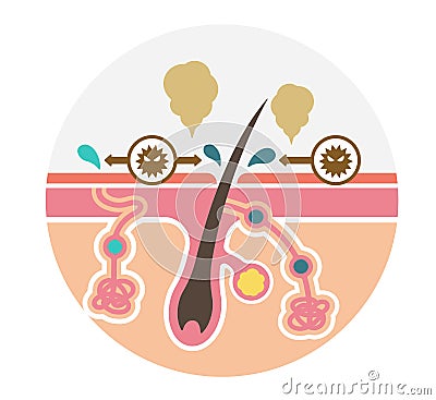 Cause of body odor vector illustration / circle type / no text Vector Illustration