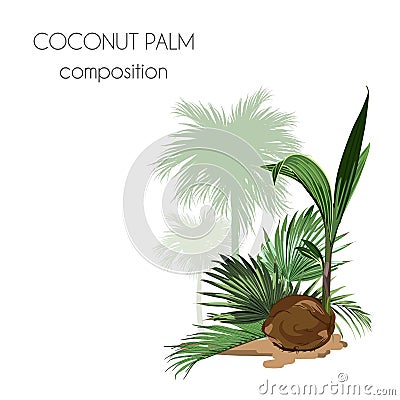 Cosmetic packaging template. Coconut nut oil beauty product. Exotic botanical design for cosmetics, spa, perfume, health care pro Stock Photo