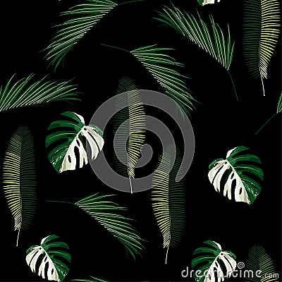 Many kinds of exotic leaves seamless pattern. Black background. Stock Photo