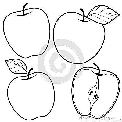 Apple fruits on white background. Vector illustrations with whole and cut fruits. Vector black and white coloring page. Vector Illustration