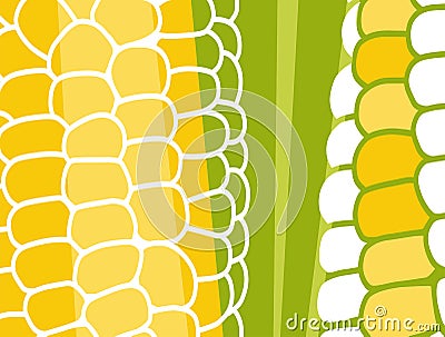 Abstract vegetable design in flat cut out style. Close up image of corn on the cob. Vector Illustration