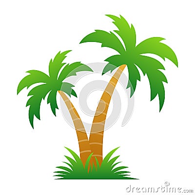 Palm/coconut tree Vector Illustration