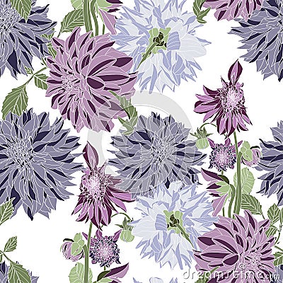 Seamless pattern of vintage violet Dahlia flowers. Floral background. Stock Photo