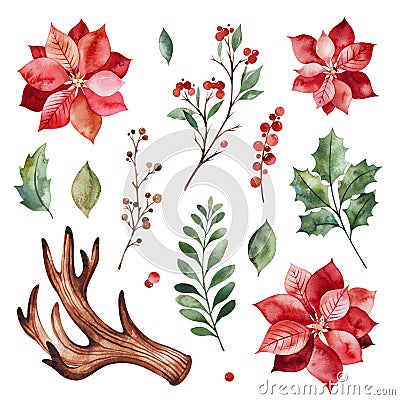 Botanical set with leaves,branches,horn,berries,holly,poinsettia flowers. Stock Photo