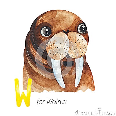 Cute Walrus for W letter. Stock Photo