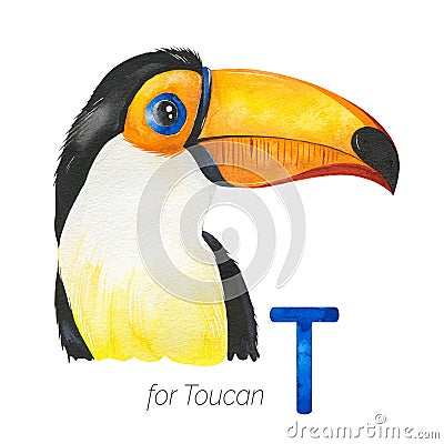 Cute Toucan for T letter. Stock Photo