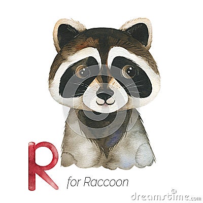 Cute Raccoon for R letter. Stock Photo