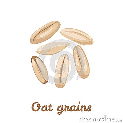 Whole oat grains isolated on a white background. Vector illustration of oatmeal Vector Illustration