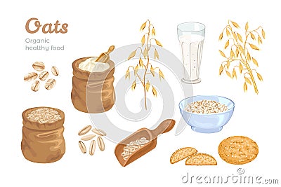Oats set. Bag of oat flour, grains, scoop with cereals, ears of corn, oat milk and cookies, flakes, bowl with oatmeal Vector Illustration