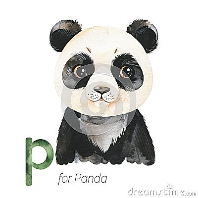 Cute Panda for P letter. Stock Photo