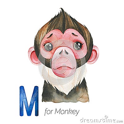 Cute Monkey for M letter. Stock Photo