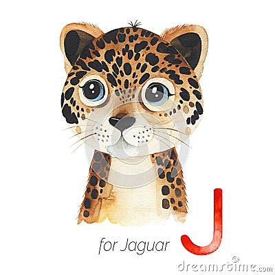 Cute Jaguar for J letter. Stock Photo