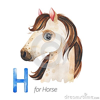 Cute Horse for H letter. Stock Photo
