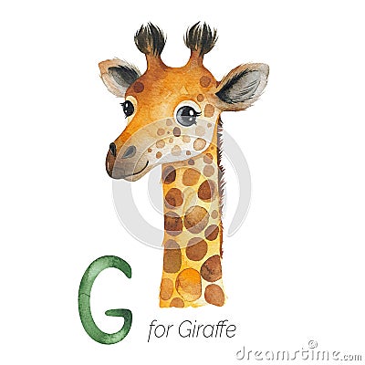 Cute Giraffe for G letter. Stock Photo