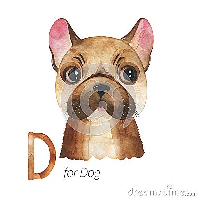 Cute Dog for D letter. Stock Photo