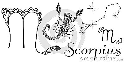 Hand drawn set for zodiac sign Scorpius. Isolated black and white clip-art for coloring book and horoscope design. Ornamental scor Vector Illustration